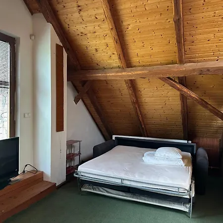 Guest house Belice 68 Neveklov *